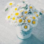 生徒さん作品と、お教室の計画について