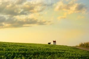 クリスチャンになってから感じた、日本の不思議な習わし。その他、苦しい思いを抱いている方に向けて。