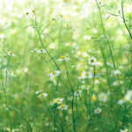 誰にも分からない未来を、希望をもって賢く確実に生きるために♪