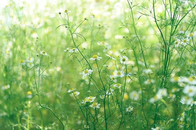 誰にも分からない未来を、希望をもって賢く確実に生きるために♪