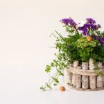 明けましておめでとうございます。