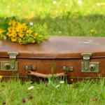 久しぶりの投稿(Ü)♪