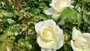 6月のお教室の状況と、刺繍についての近況など。