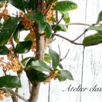 10月のアトリエ教室・開講日、「刺繍の会」&「焼き菓子の会」のお知らせ